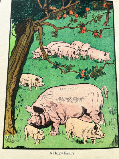 1936 BLACKIES "TODDLERS" Illustrated story book