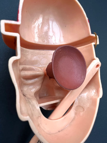 Gurning Face Vintage 1950s GANTOY Toothbrush Holder