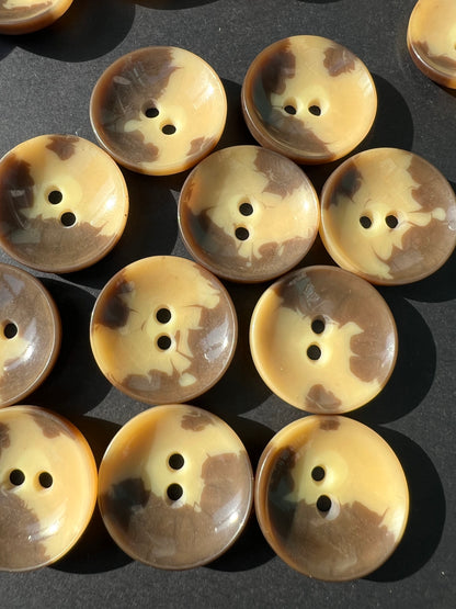 6 Coffee Caramel 2.5cm Vintage Mid Century Lucite Bowl Shaped Buttons