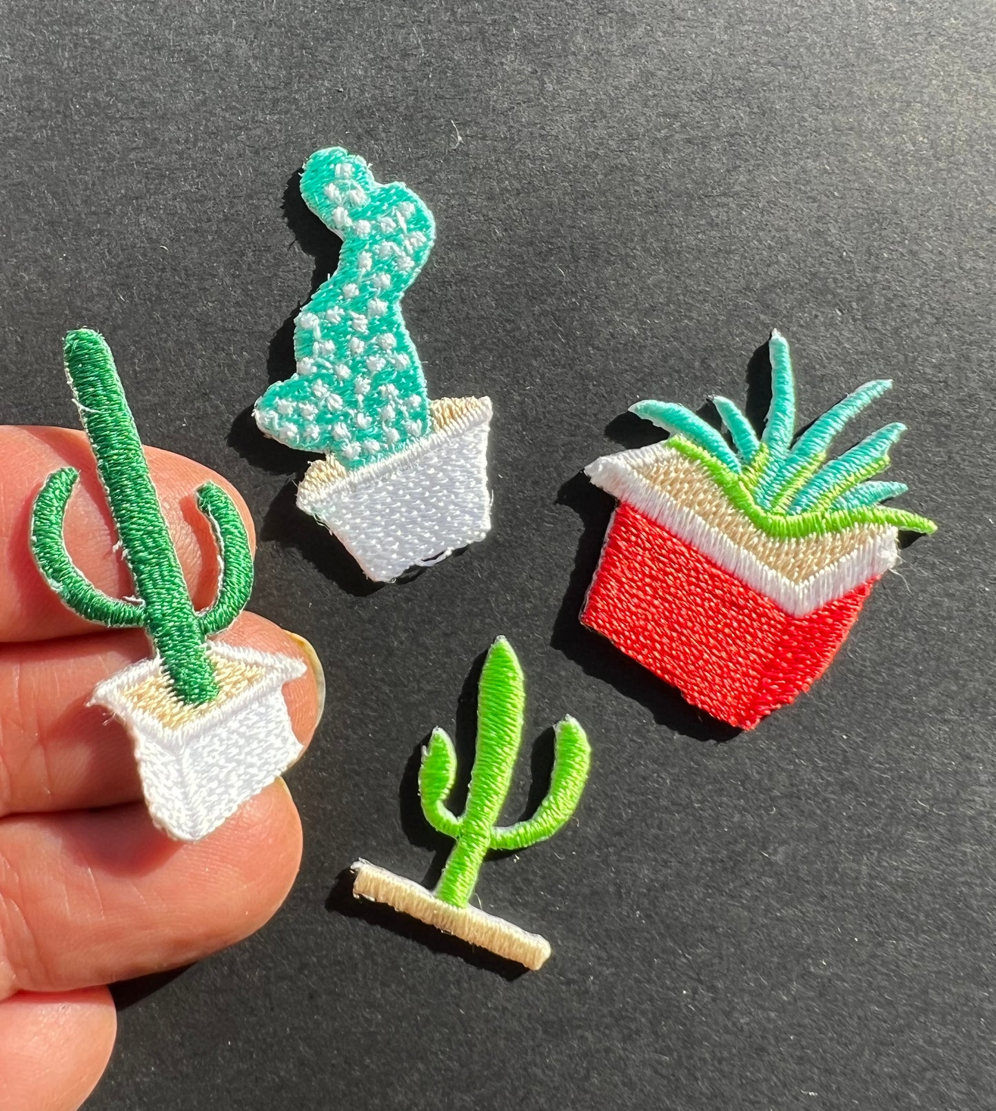 4 Little Cactus Iron-On Appliques / Patches (21)