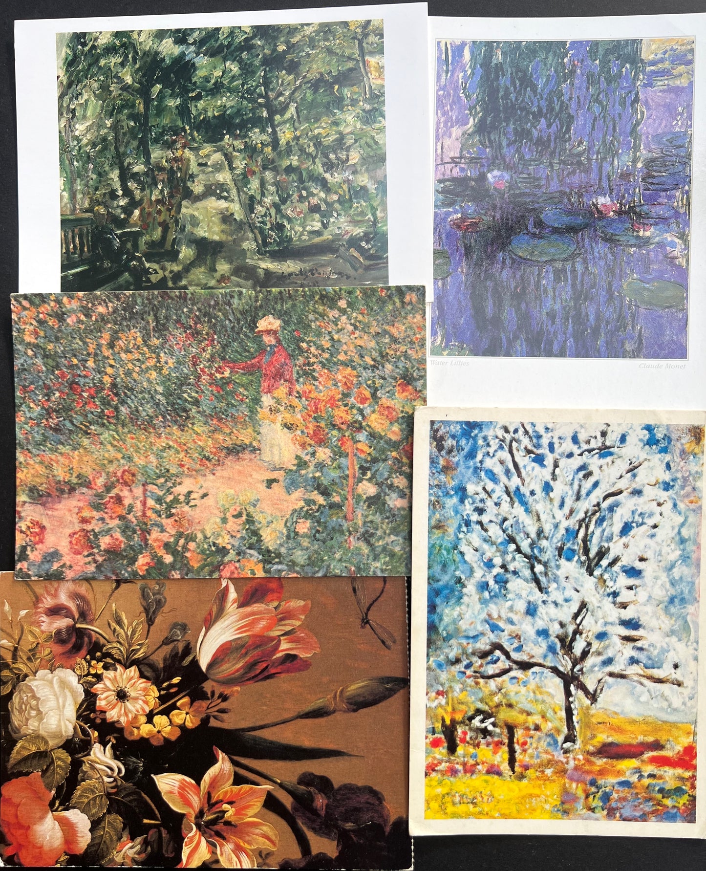 21 Art Postcards of Flowers.