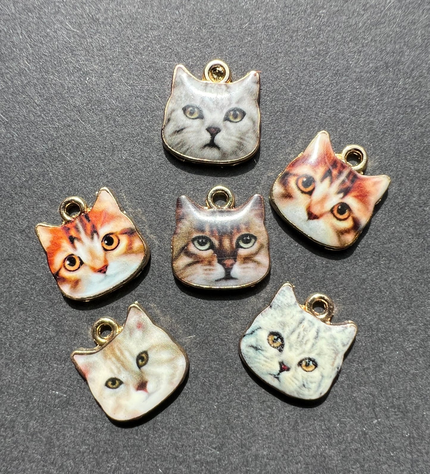 1.2cm  Inscrutable Enamel Cat Charms