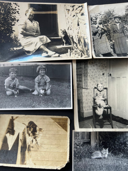 6 Old Photos of People and Cats (F32)