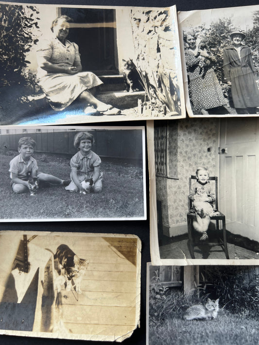 6 Old Photos of People and Cats (F32)