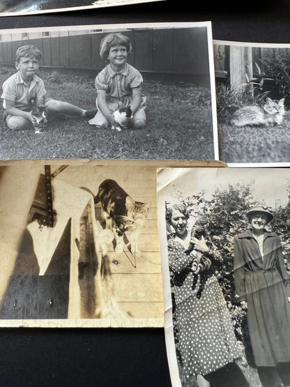 6 Old Photos of People and Cats (F32)