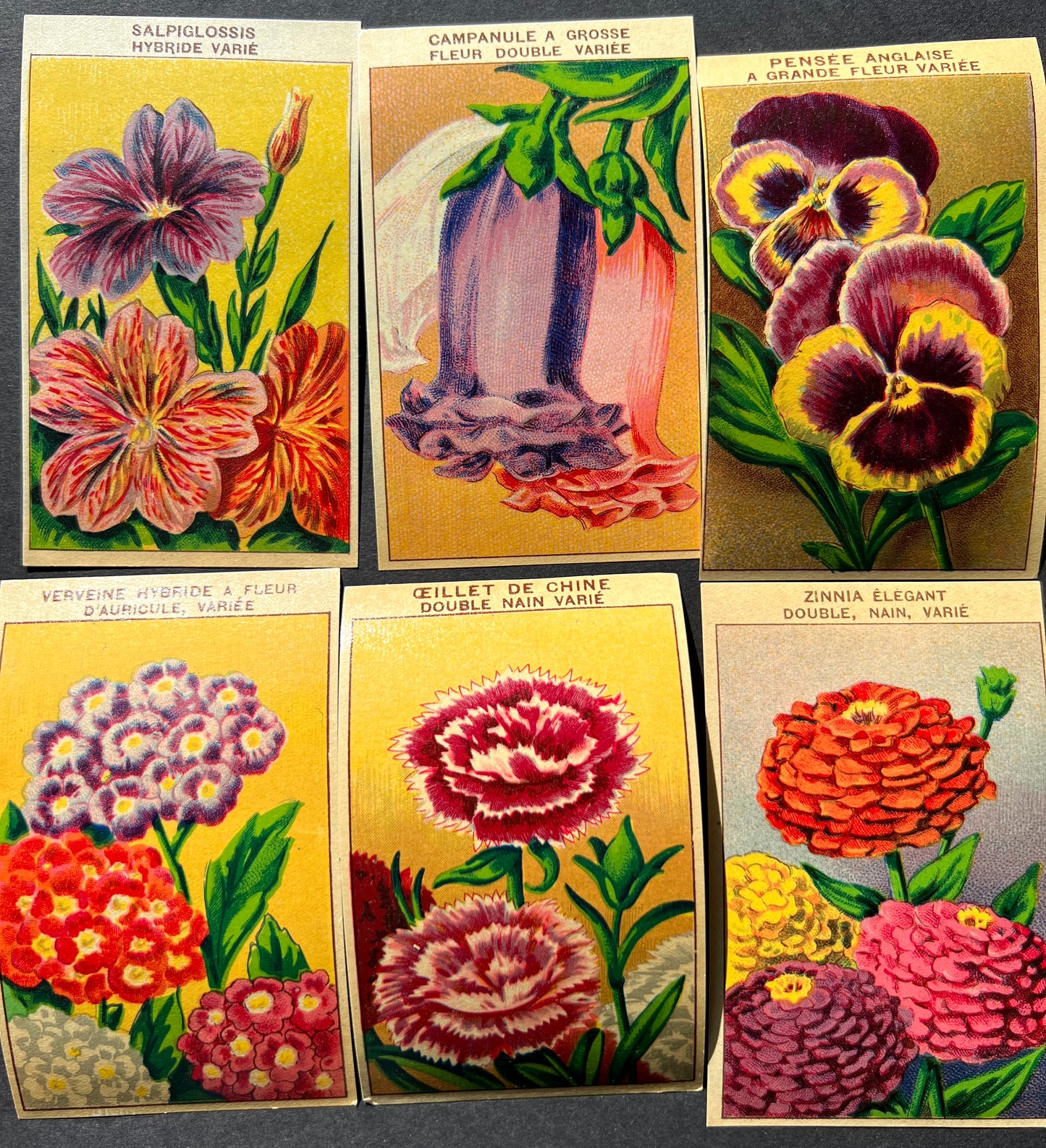 6 Gorgeous French 1920s Seed Packet Labels (No 1)