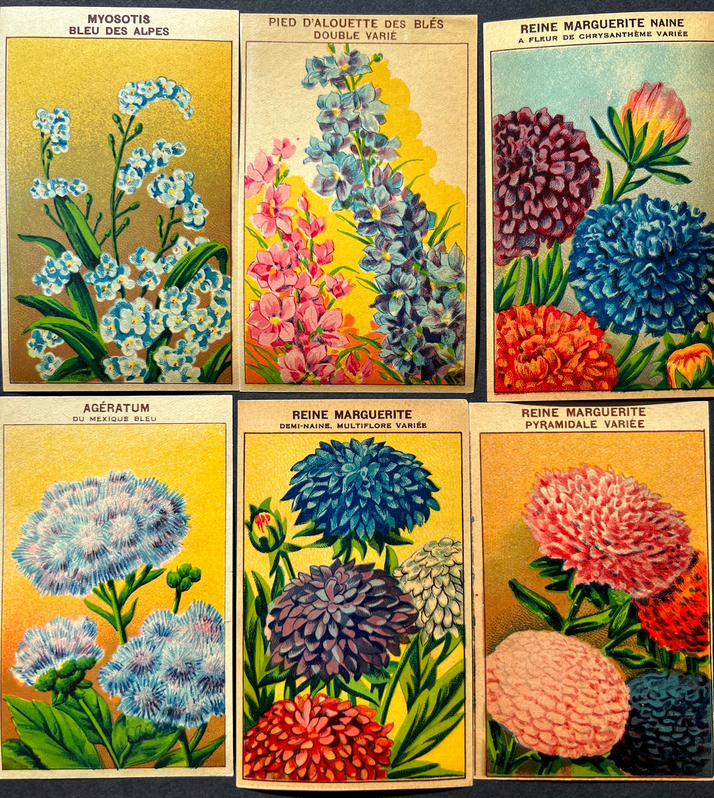 6 Summery French 1920s Seed Packet Labels (A)