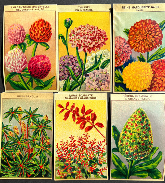 6 Gorgeous French 1920s Seed Packet Labels Pack B