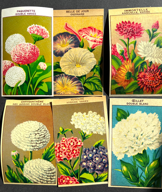 6 Gorgeous French 1920s Seed Packet Labels Pack D