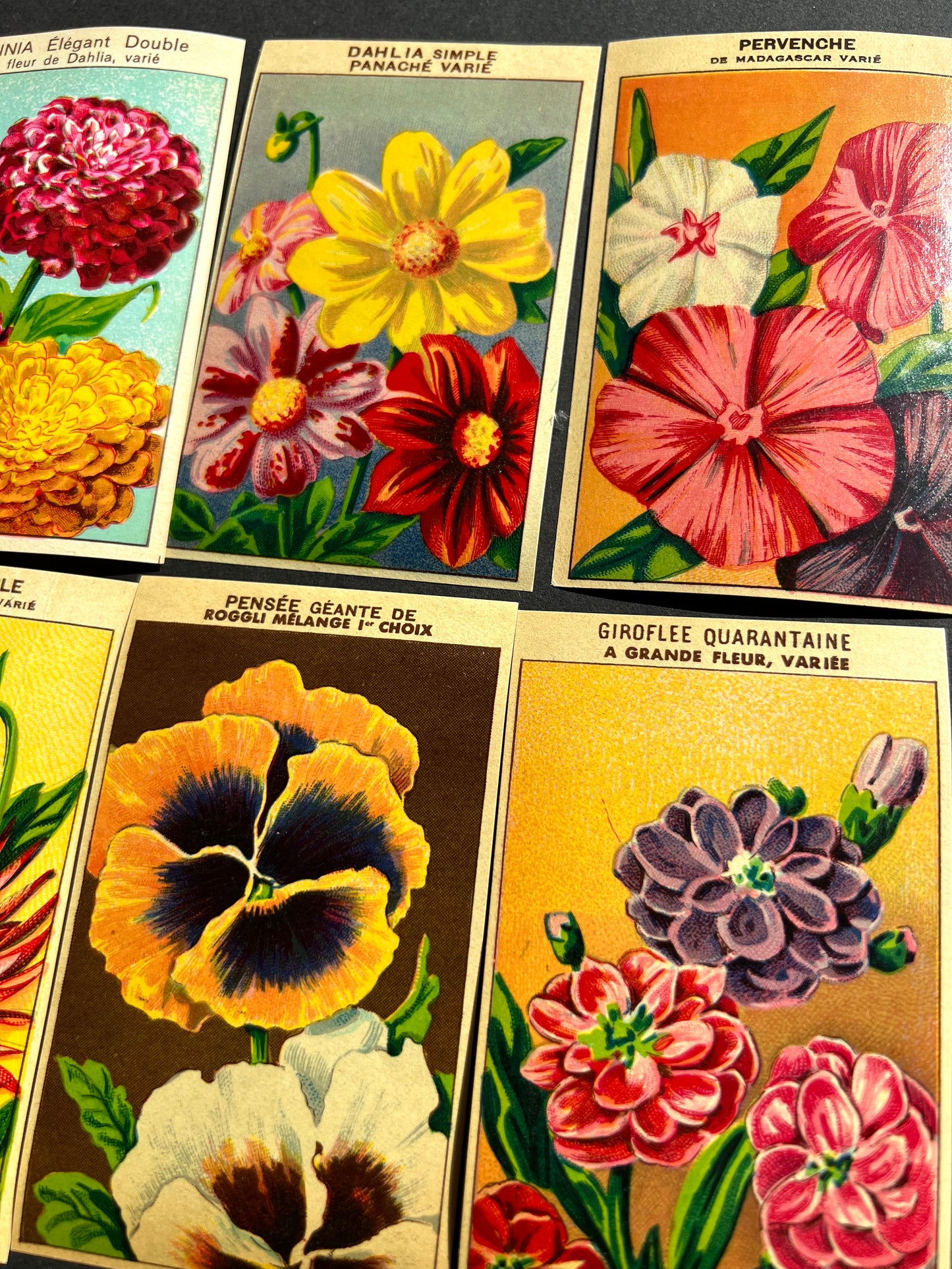 6 French 1920s Seed Packet Labels (H)