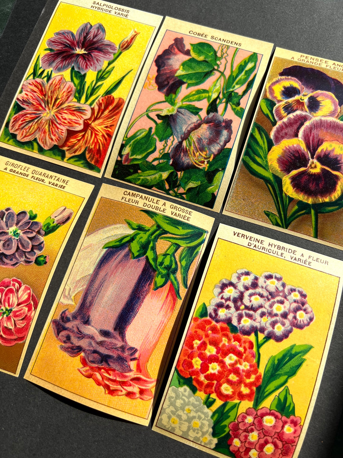 6 Gorgeous French 1920s Seed Packet Labels Pack N