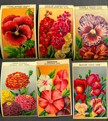 6 Gorgeous French 1920s Seed Packet Labels Pack P