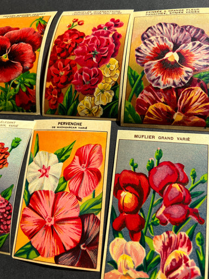 6 Gorgeous French 1920s Seed Packet Labels Pack P