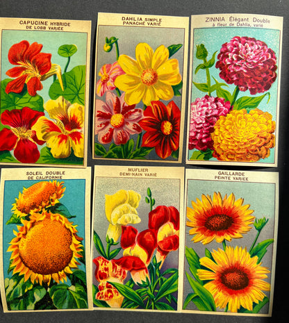 6 Gorgeous French 1920s Seed Packet Labels Pack T