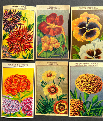 6 Gorgeous French 1920s Seed Packet Labels Pack W