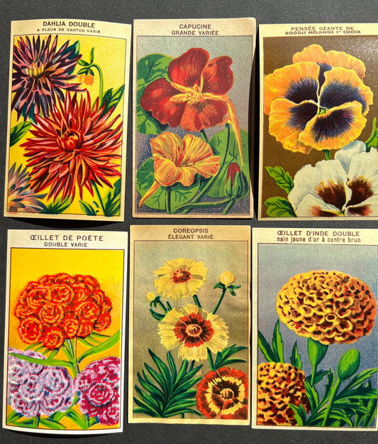 6 Gorgeous French 1920s Seed Packet Labels Pack W