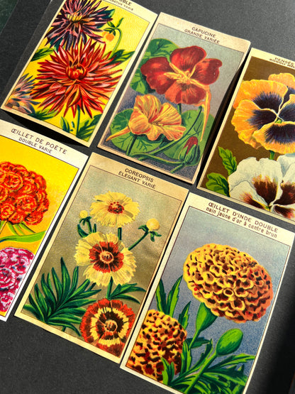 6 Gorgeous French 1920s Seed Packet Labels Pack W