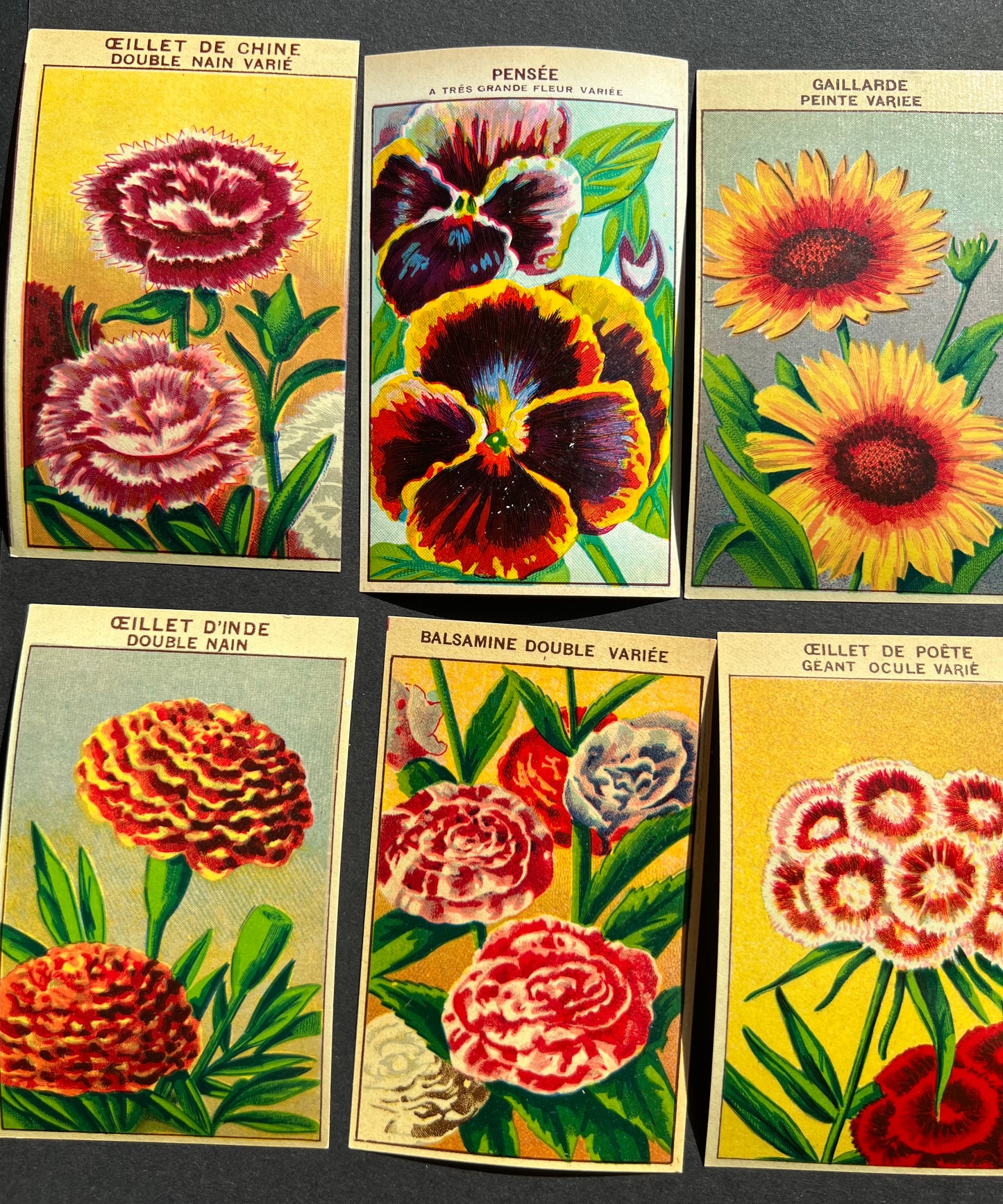 6 Gorgeous French 1920s Seed Packet Labels Pack Y