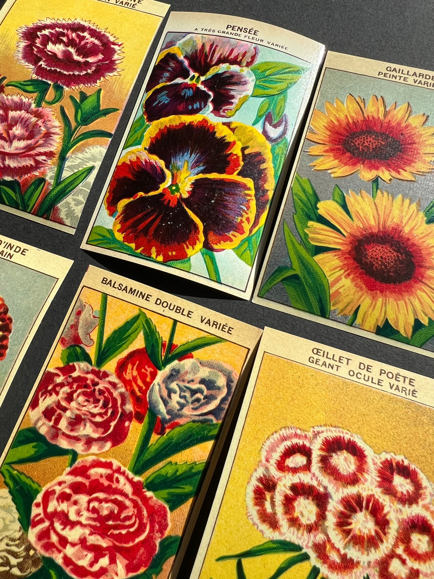 6 Gorgeous French 1920s Seed Packet Labels Pack Y