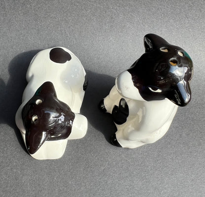 Pair of Ceramic Cows Salt & Pepper Cruet Set- Old Shop Stock