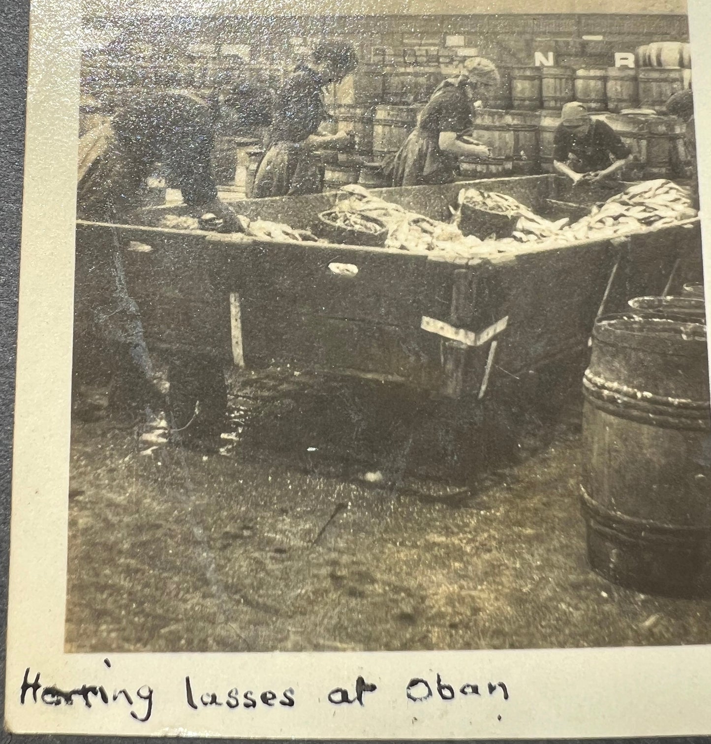 Album of Over 300 photos taken by an Intrepid Group of Friends Between 1922 + 1931.