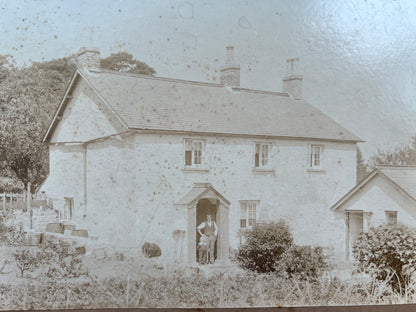 7 Large Early 20th C Photos on Card