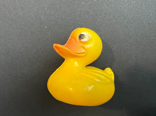 Jolly Plastic Duck