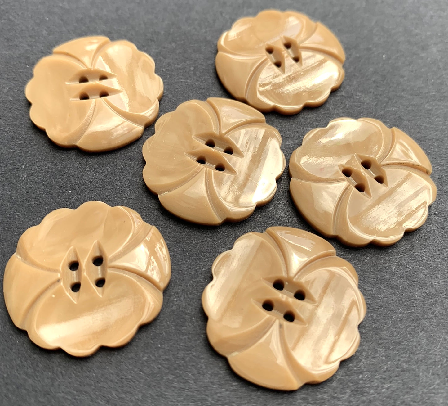 6 Sophisticated Fawn 1930s Casein 2.2cm Buttons