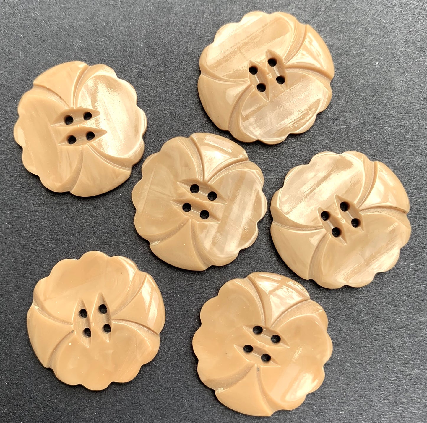 6 Sophisticated Fawn 1930s Casein 2.2cm Buttons
