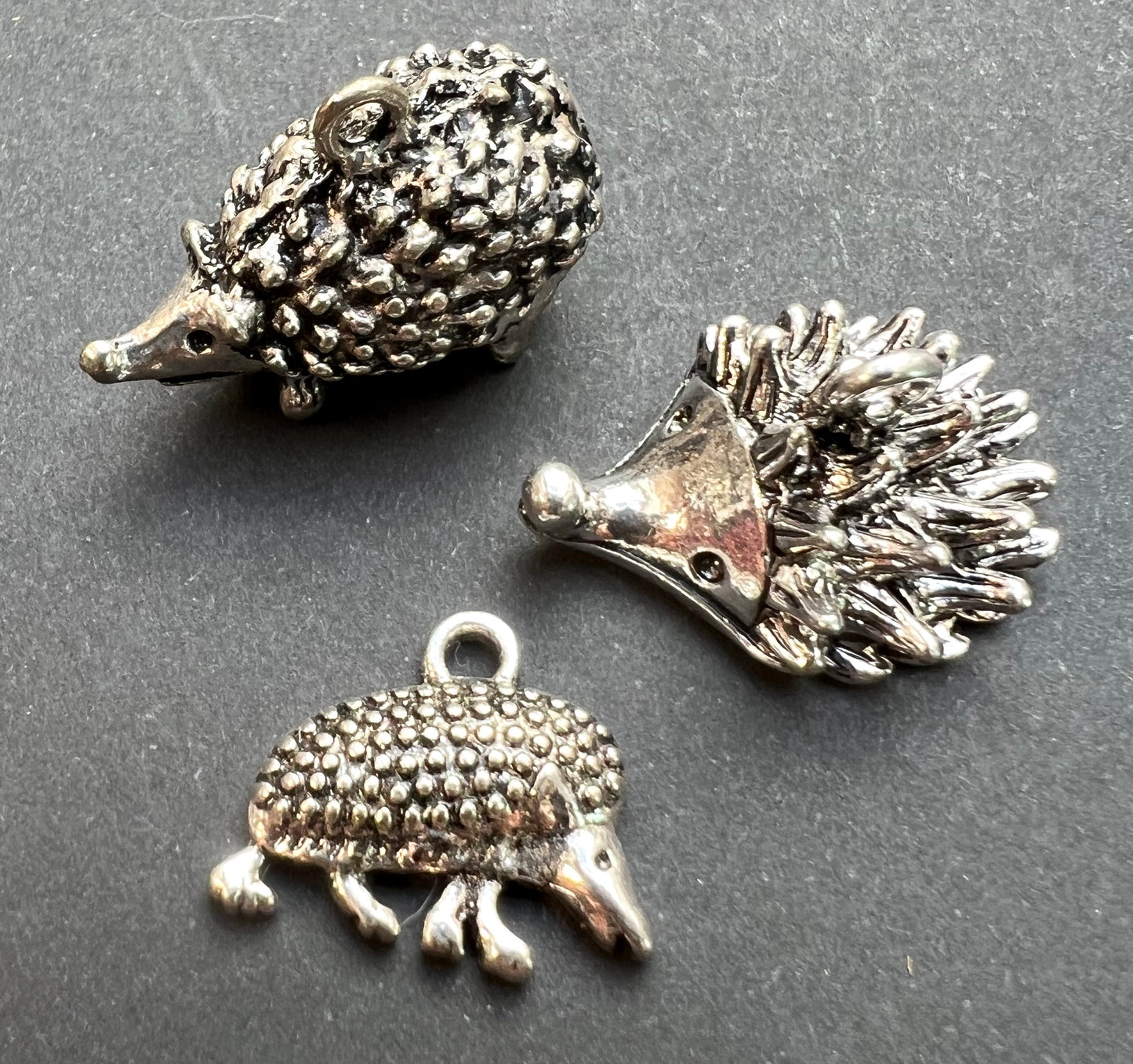 Choice of Hedgehogs !