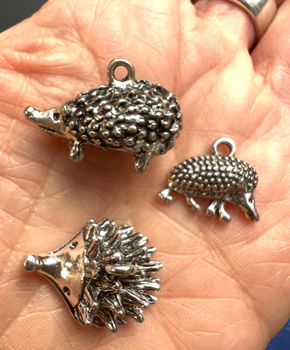 Choice of Hedgehogs !