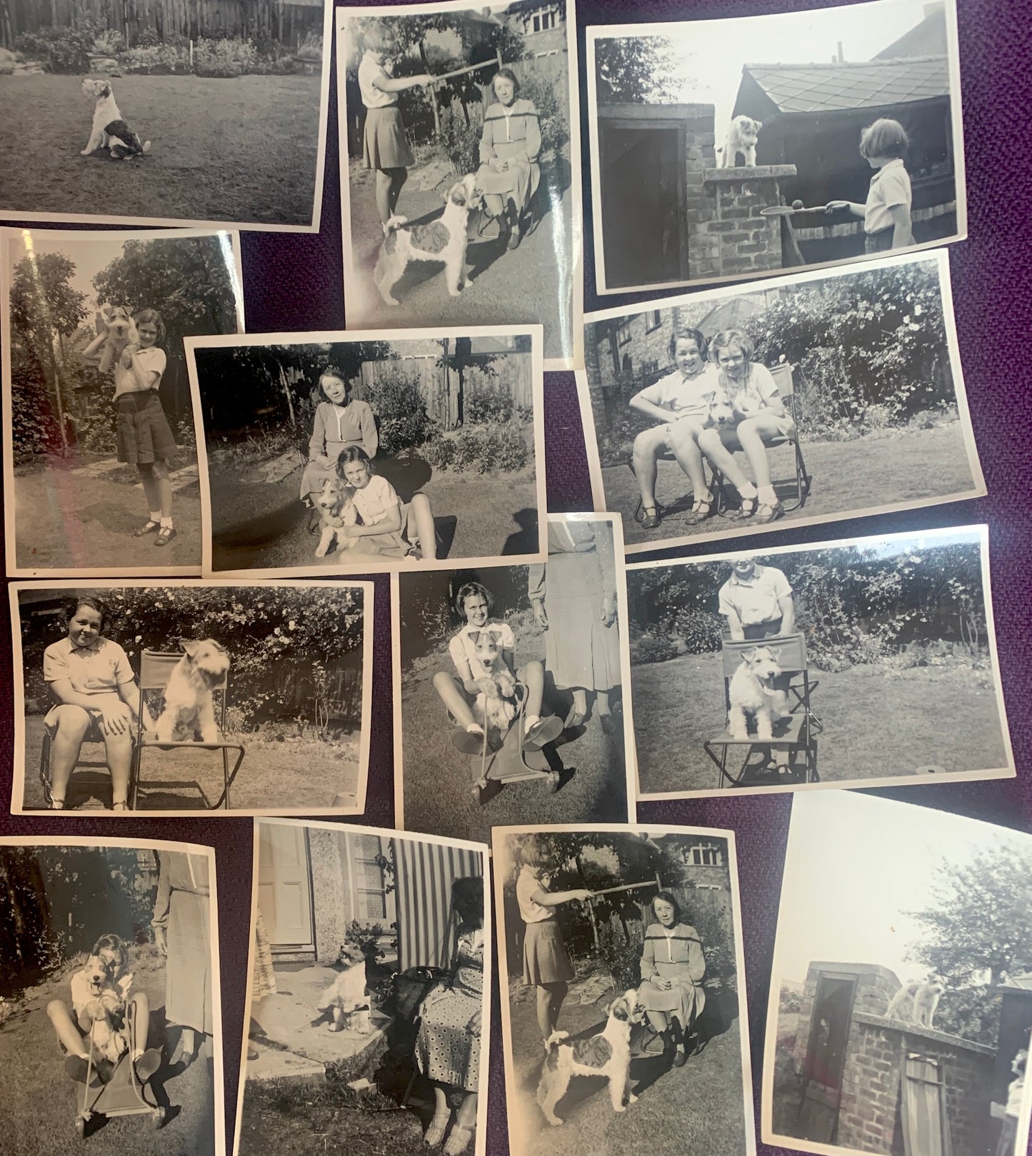 13 delightful 1930s photos - Playing with the Dog  in the Garden (A20)