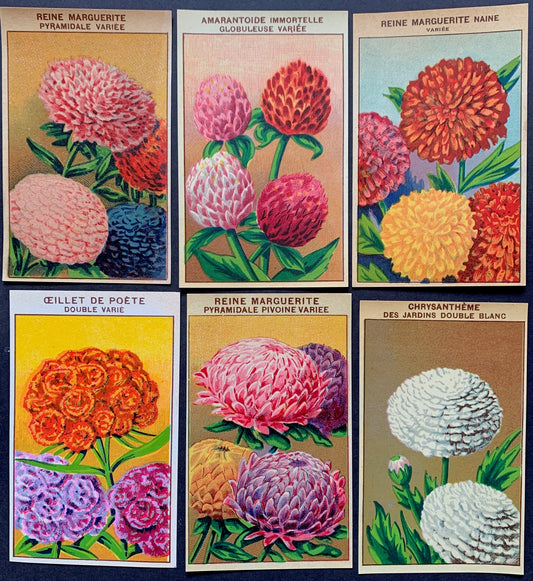 6 Gorgeous French 1920s Seed Packet Labels Pack Q