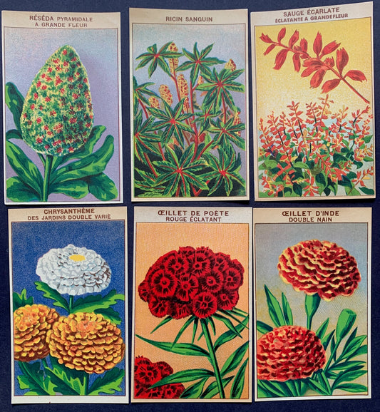 6 Gorgeous French 1920s Seed Packet Labels Pack S