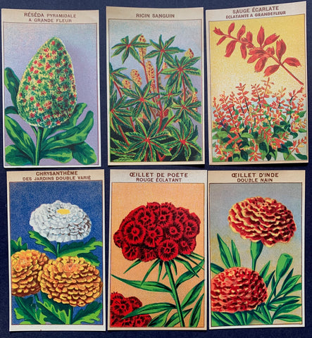 6 Gorgeous French 1920s Seed Packet Labels Pack S