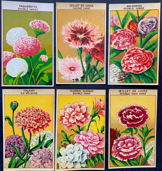 6 Gorgeous French 1920s Seed Packet Labels Pack T