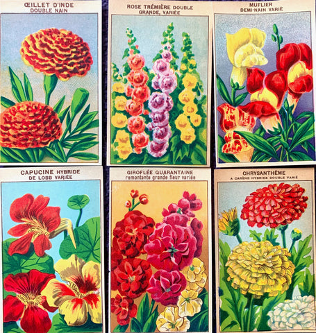 Gorgeous French 1920s Seed Packet Labels Pack L