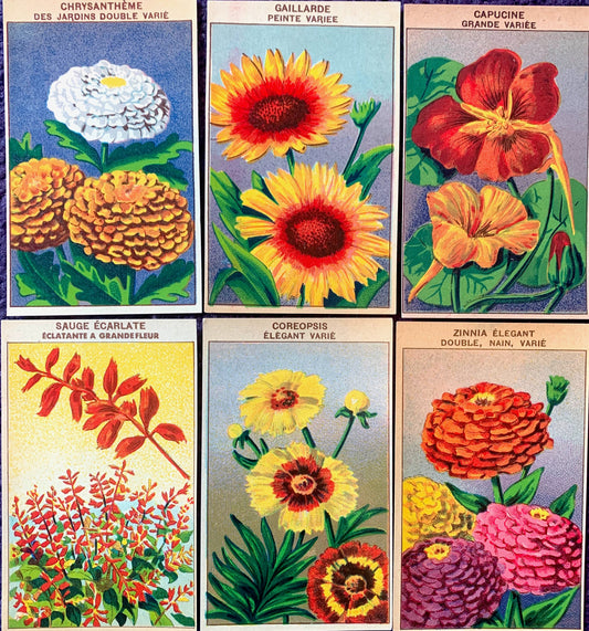 Gorgeous French 1920s Seed Packet Labels Pack K