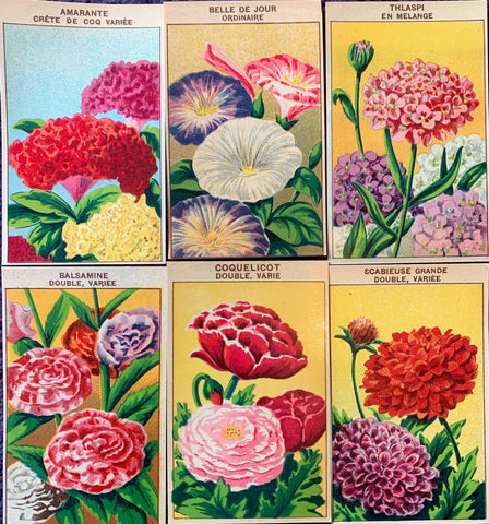 Gorgeous French 1920s Seed Packet Labels Pack J