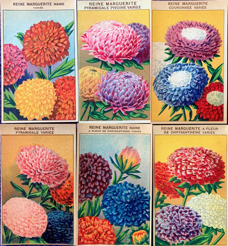 6 Gorgeous French 1920s Seed Packet Labels Pack G