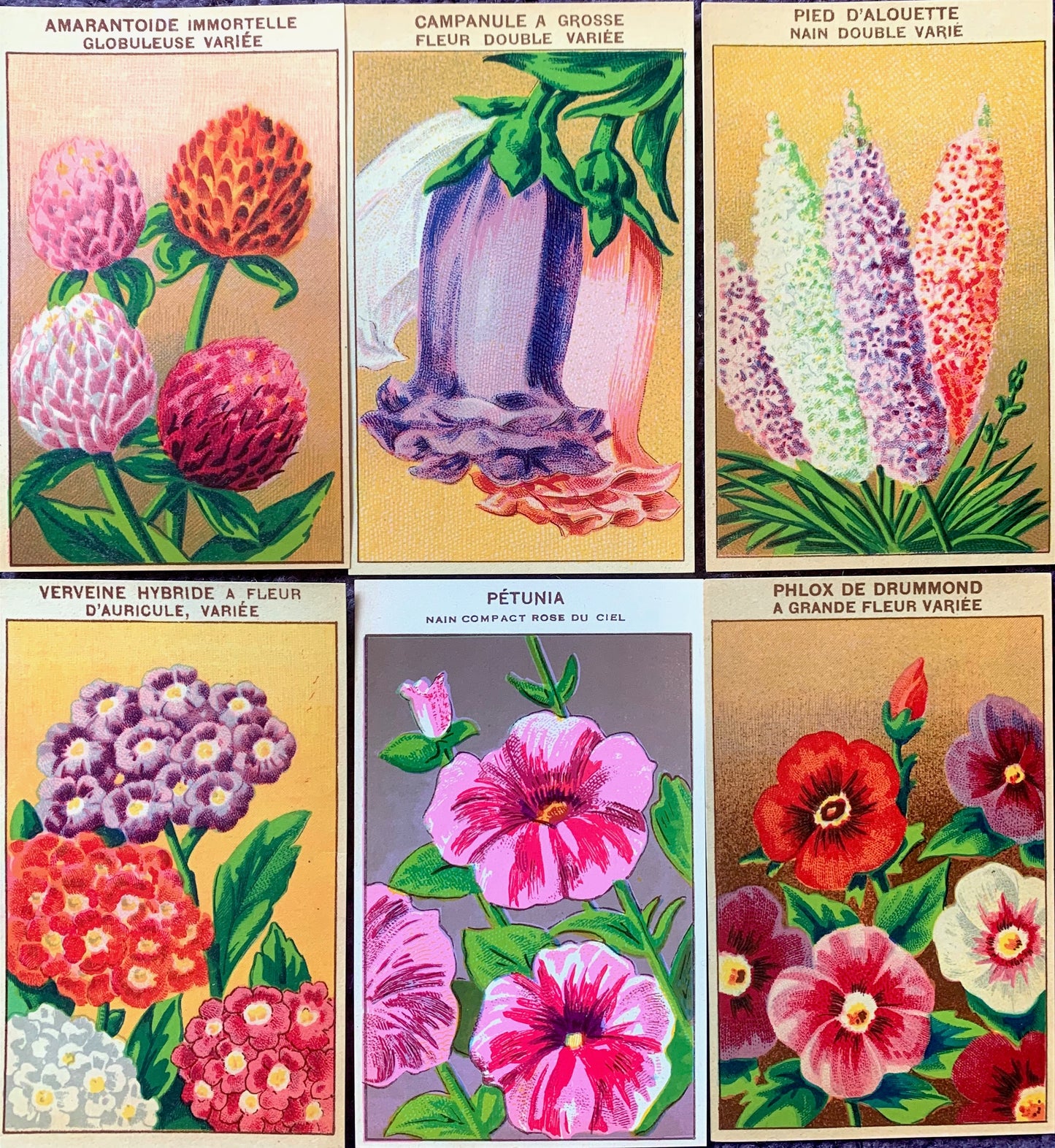 6 Gorgeous French 1920s Seed Packet Labels Pack F