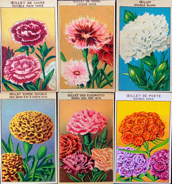 6 Gorgeous French 1920s Seed Packet Labels Pack E