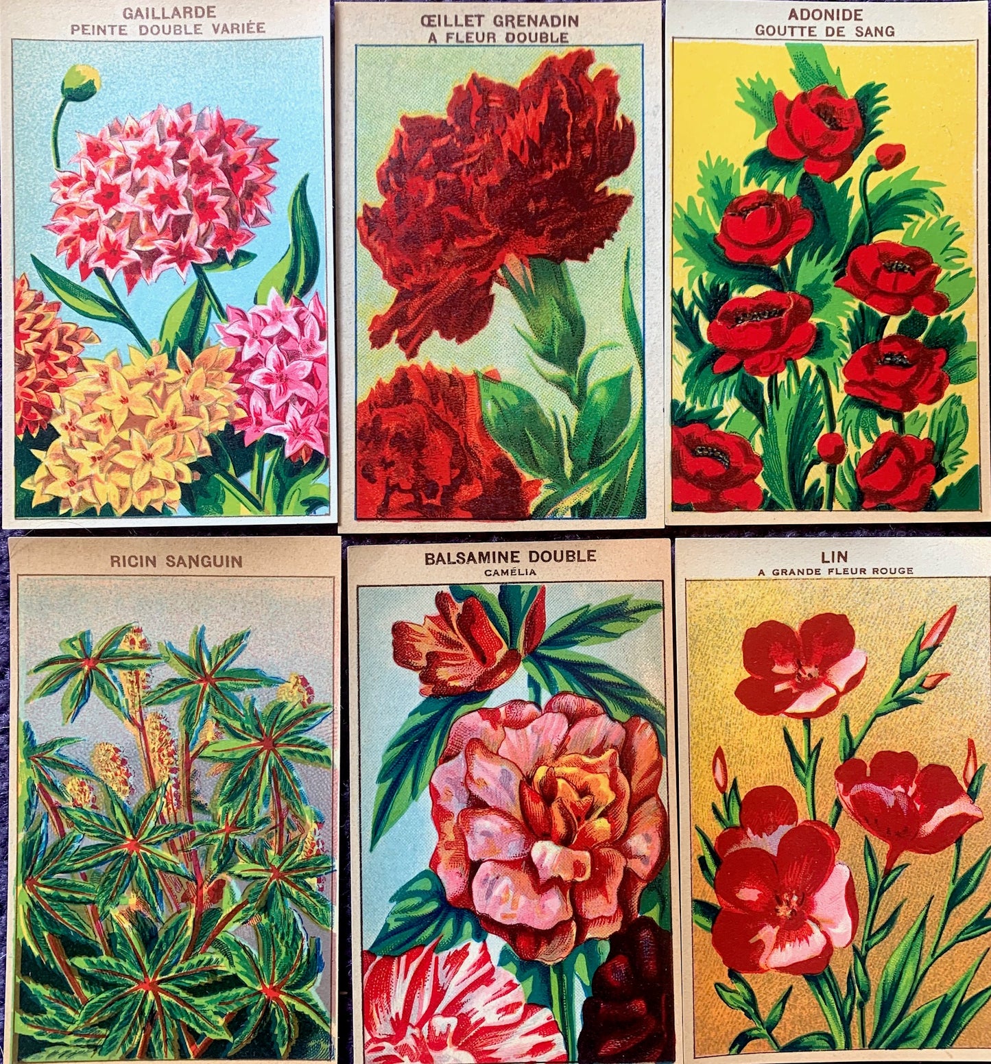 6 Gorgeous French 1920s Seed Packet Labels Pack C