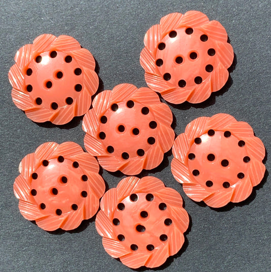 6 Deep Peachy Pink Vintage 1940s Pie Crust  Buttons -2.2cm