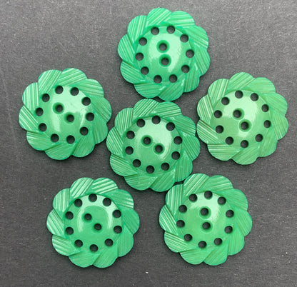 6 Rosemary Green Pie crust Edged Vintage Buttons -2.2cm